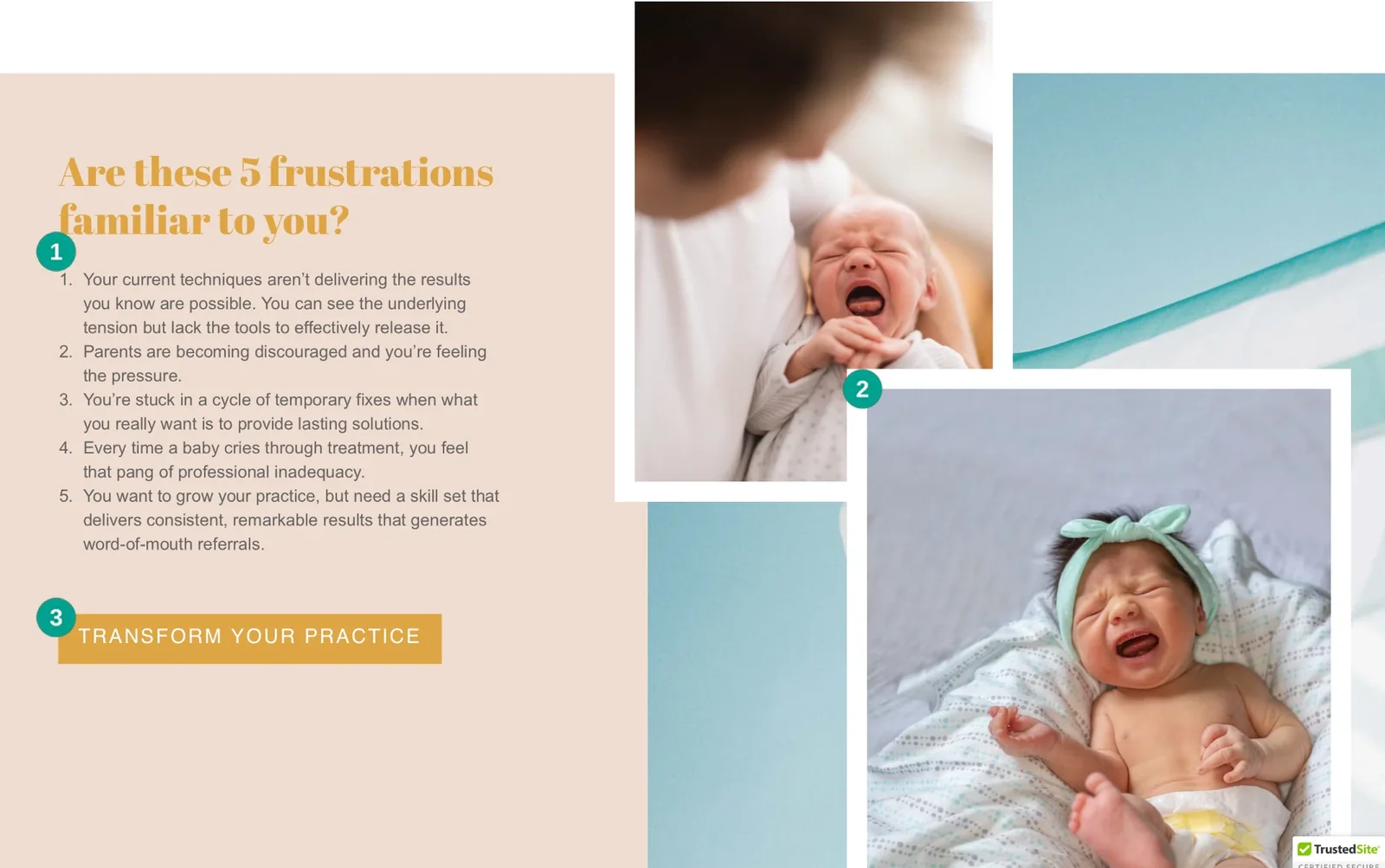 Bodywork for Babies section listing five familiar practitioner frustrations beside baby photographs