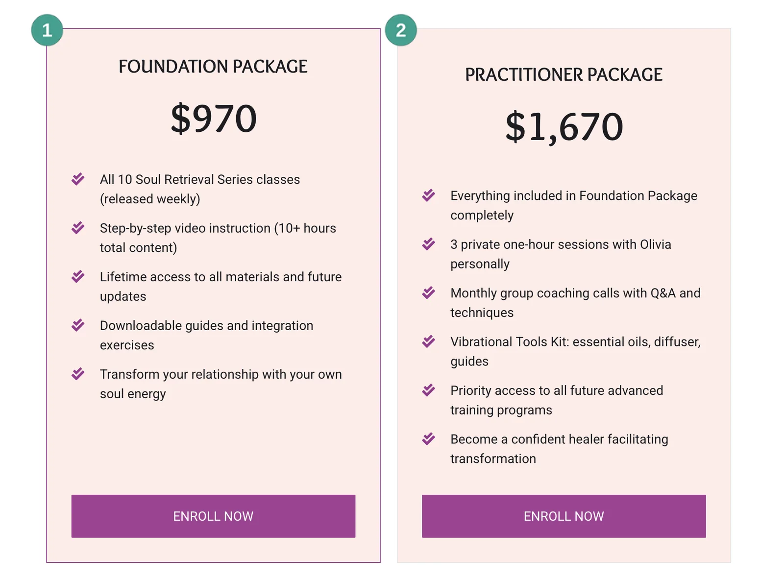 Soul Retrieval Series Foundation and Practitioner packages with two numbered callouts