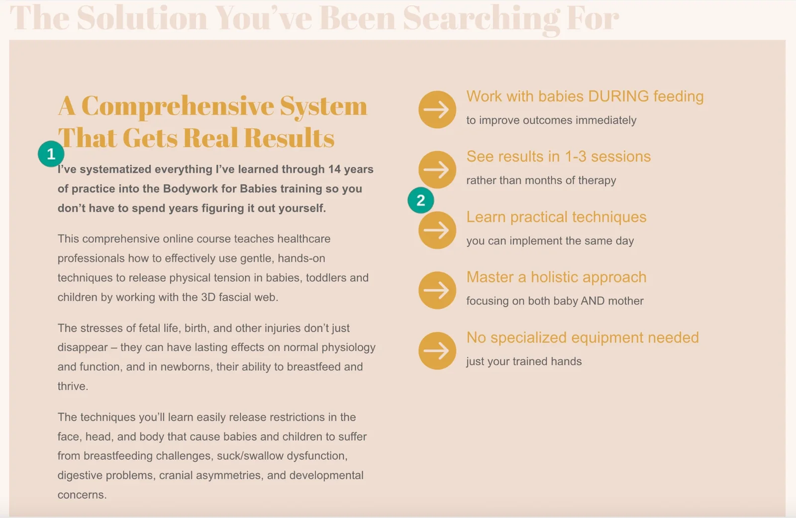 Bodywork for Babies solution section describing the system and five practical outcomes