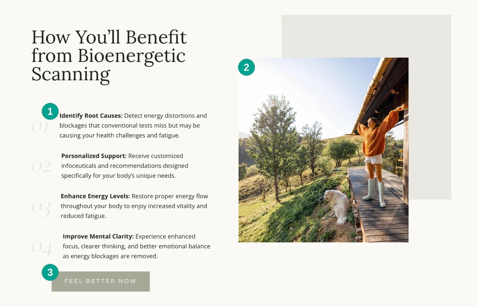 Bioenergetic scanning benefits with three numbered callouts